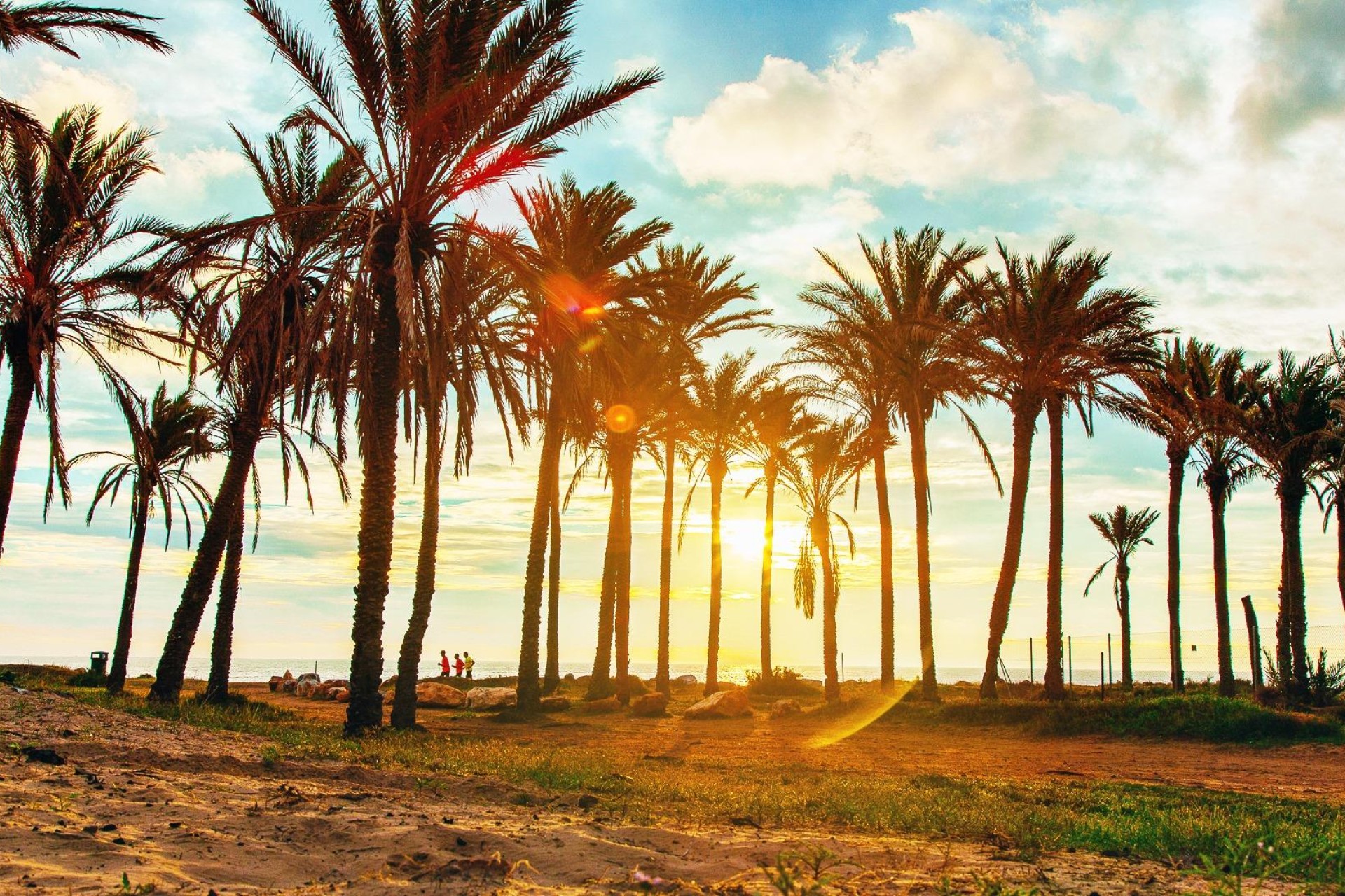 Återförsäljning - Lägenhet / lägenhet - Torrevieja - Acequion