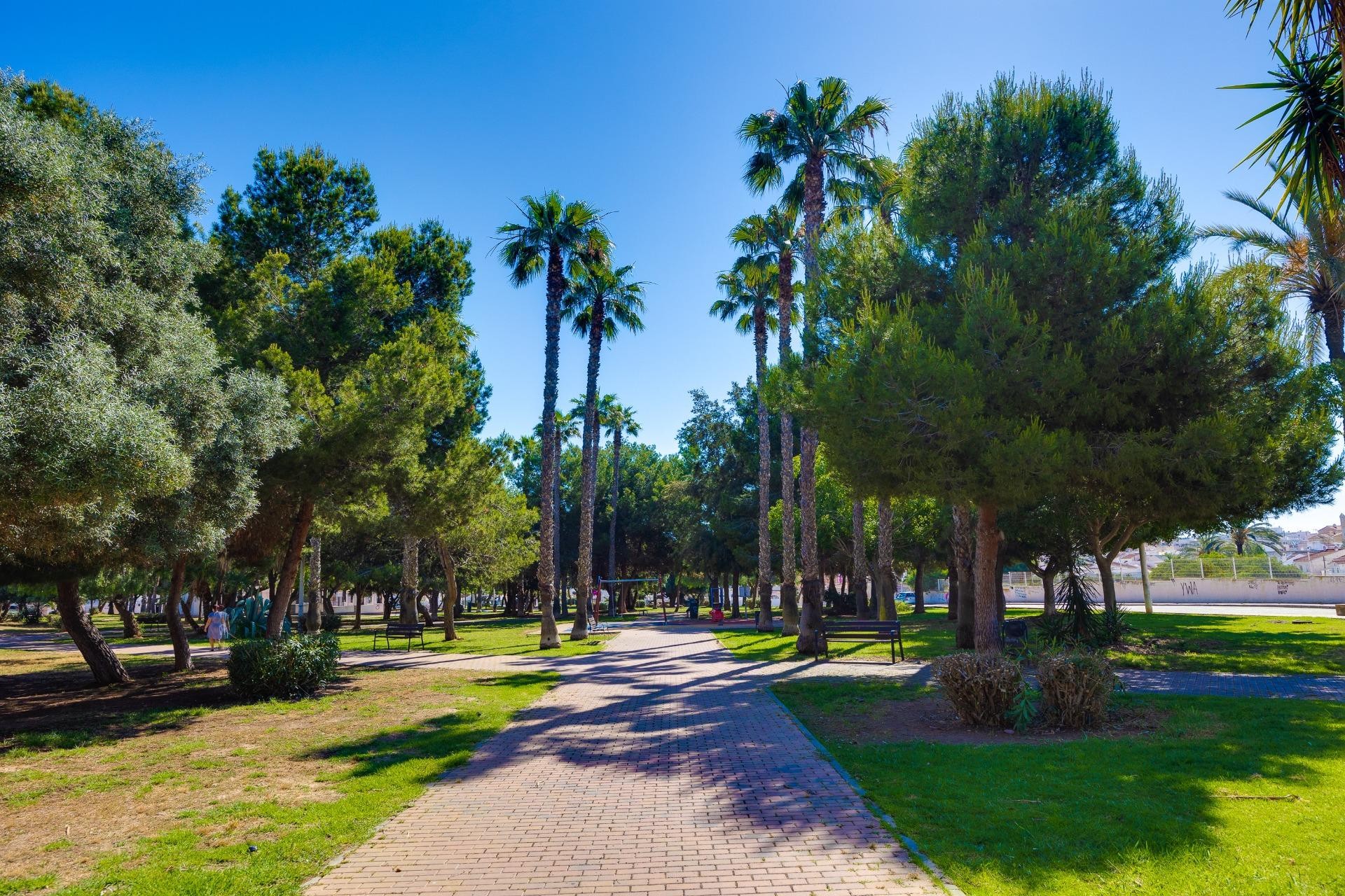 Återförsäljning - Lägenhet / lägenhet - Torrevieja - Calas blanca