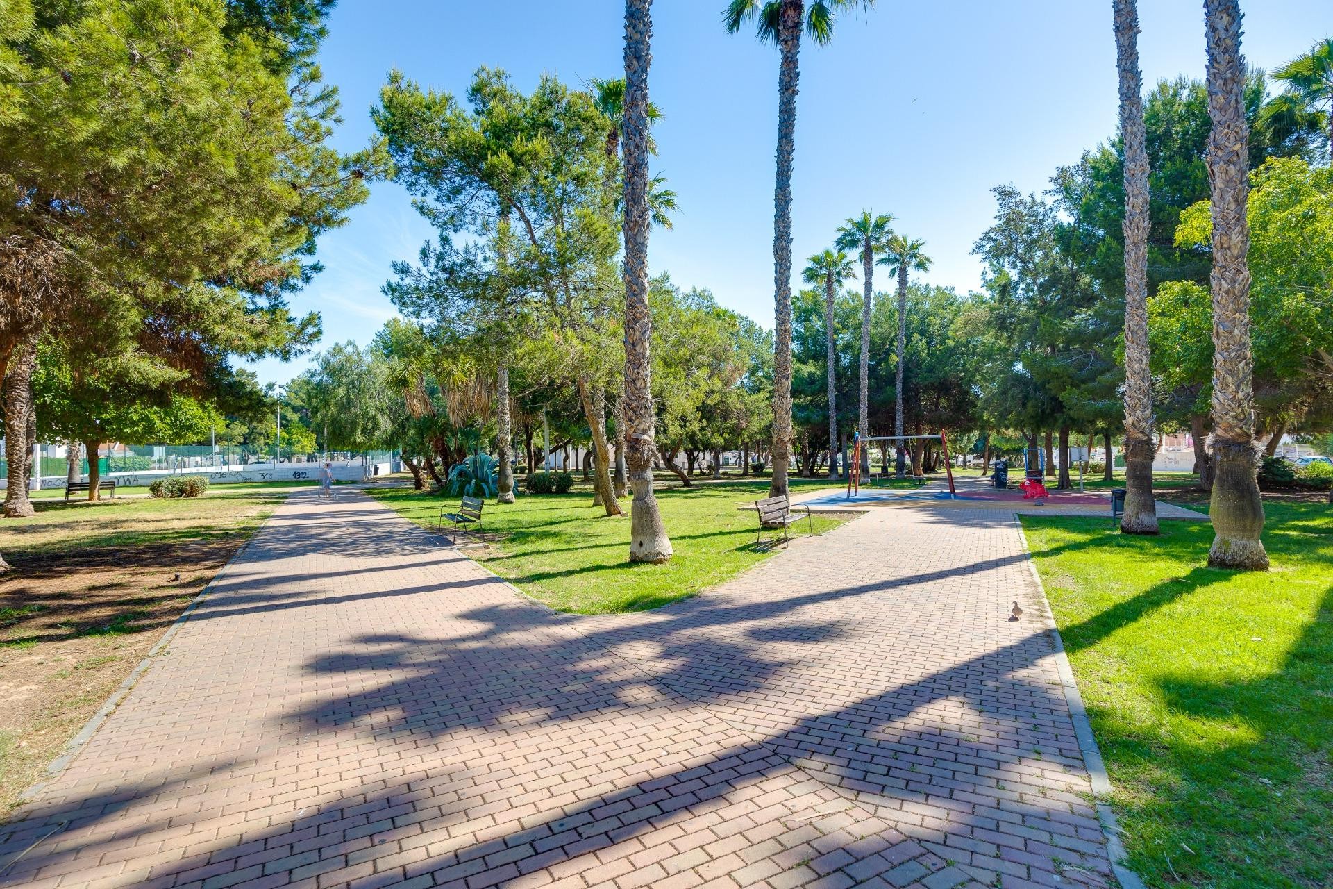 Återförsäljning - Lägenhet / lägenhet - Torrevieja - Calas blanca