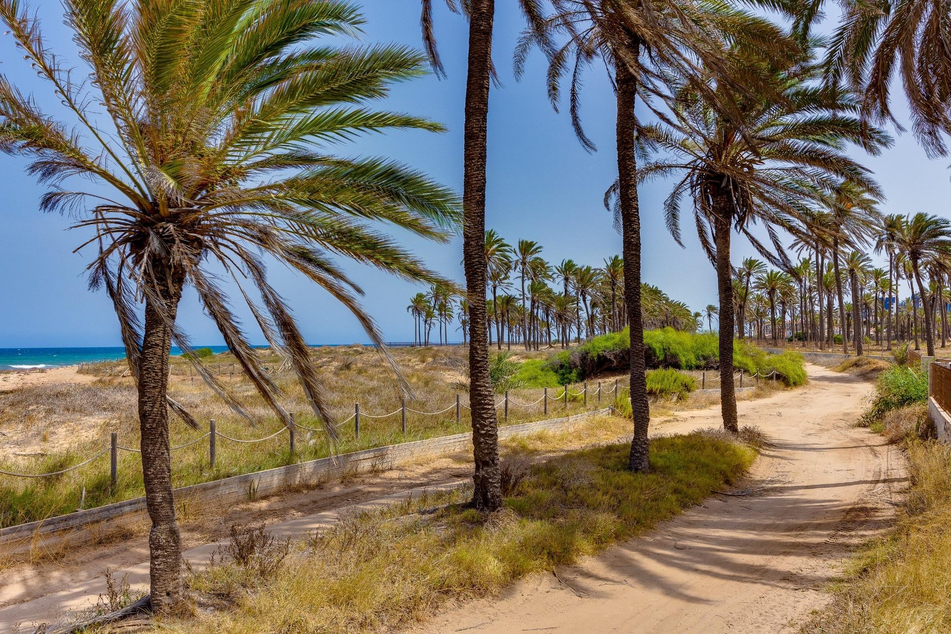 Herverkoop - Bungalow - Torrevieja - Mar azul
