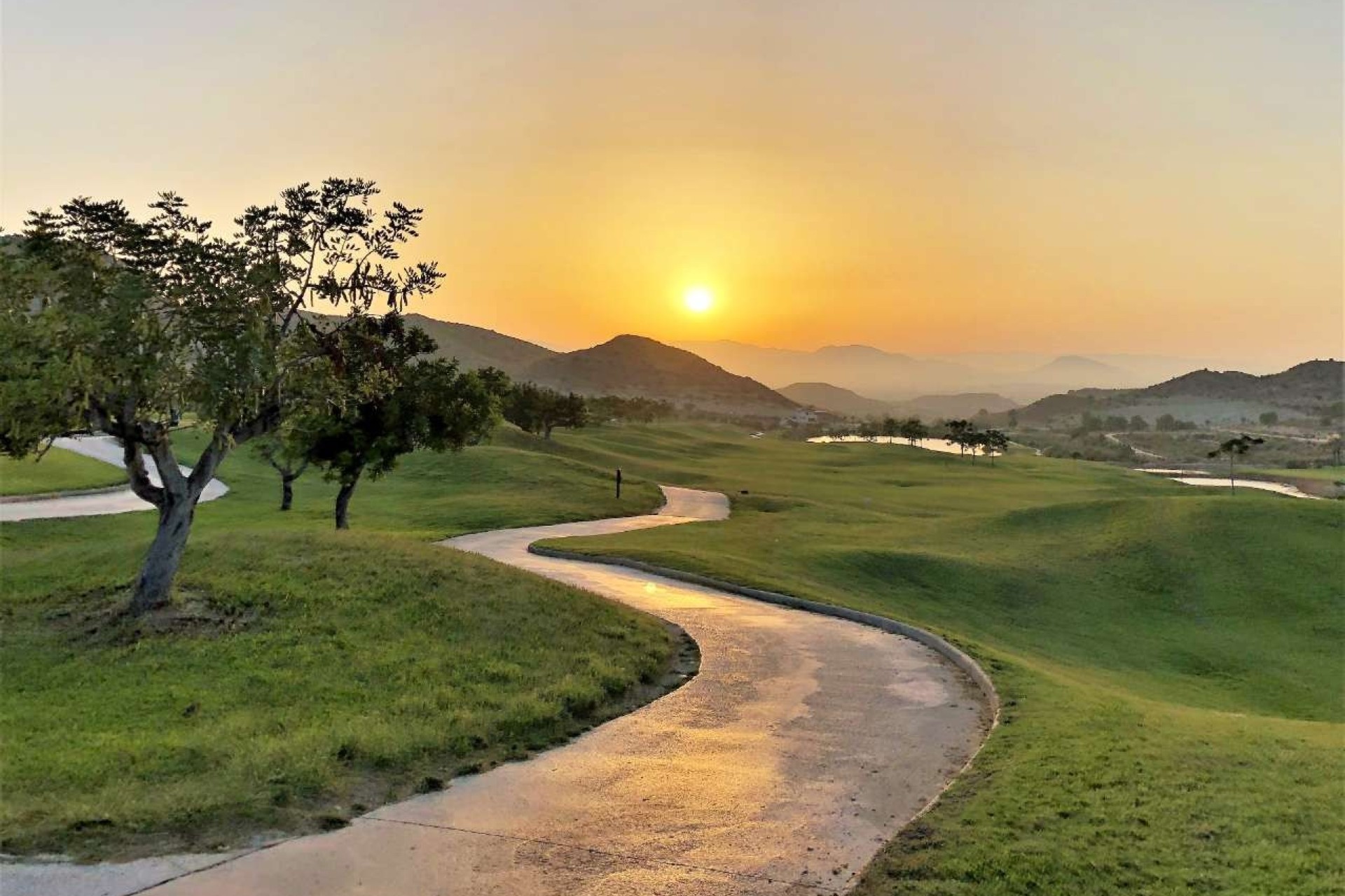 Nieuwbouw Woningen - Appartement / flat - Monforte del Cid - Font del Llop