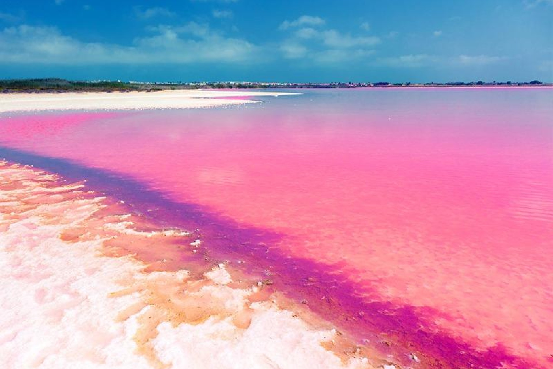 Nieuwbouw Woningen - Appartement / flat - Torrevieja - Aguas Nuevas