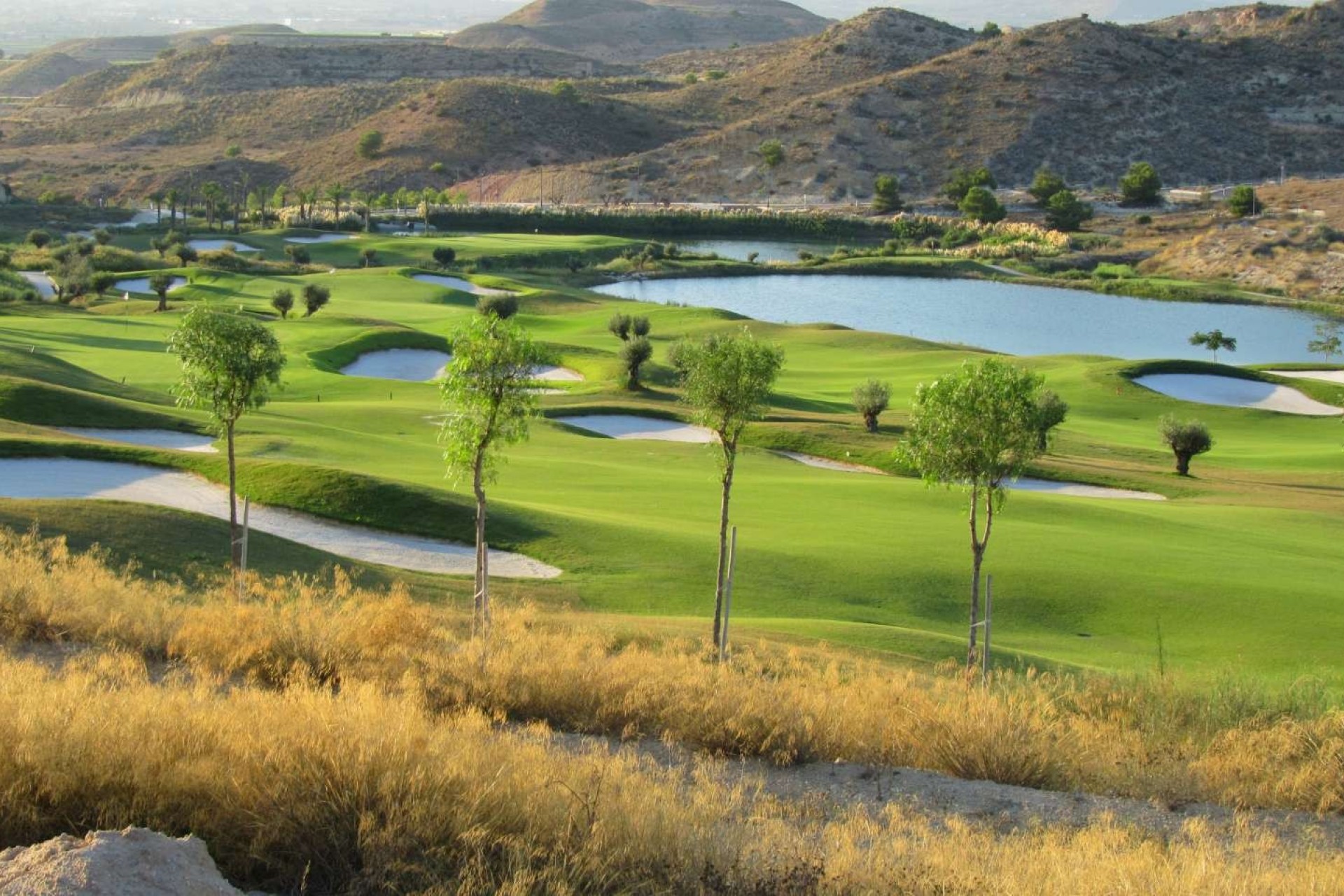 Nieuwbouw Woningen - Villa / Halfvrijstaand - Monforte del Cid - Font del Llop