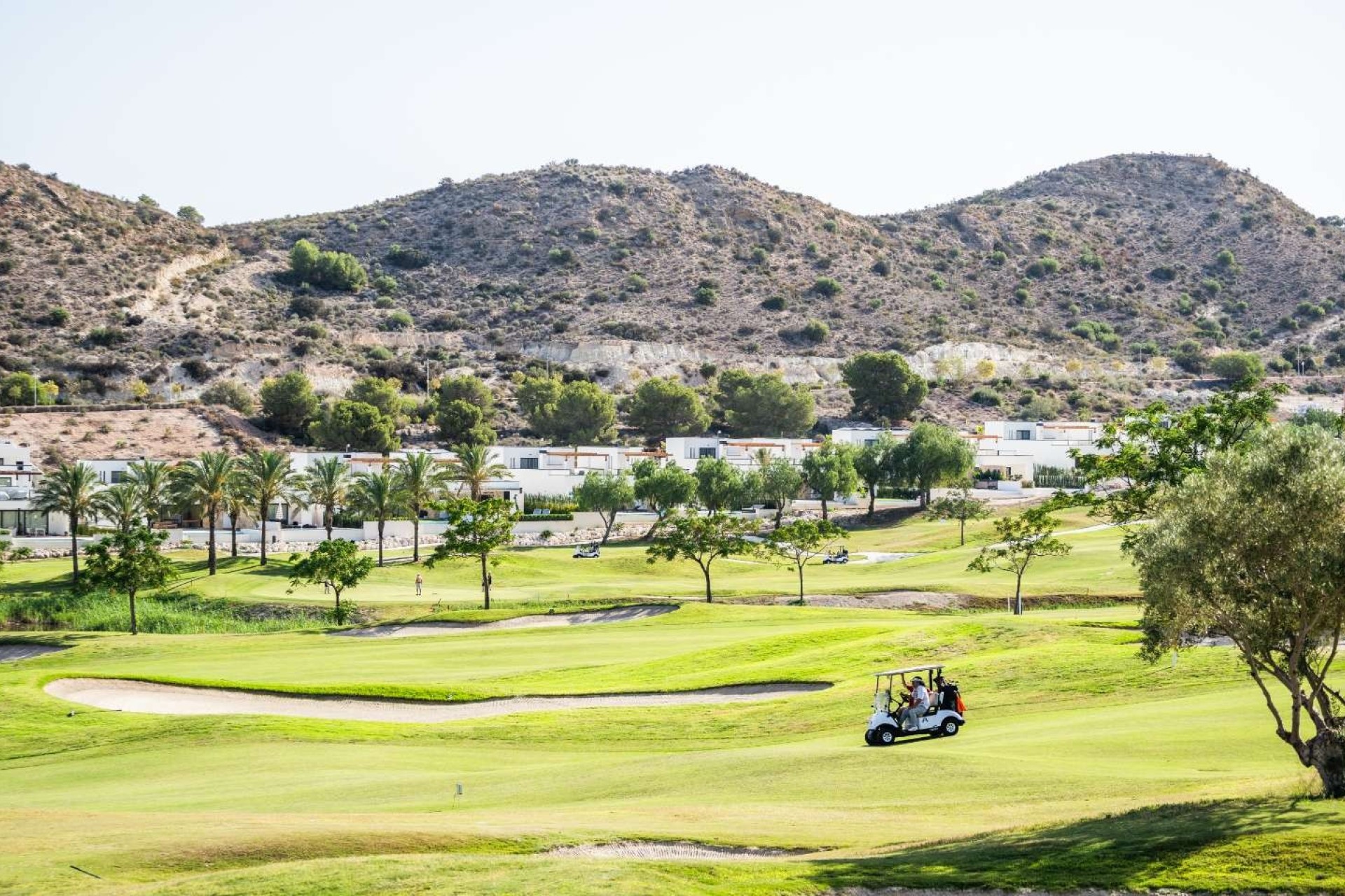 Nieuwbouw Woningen - Villa / Halfvrijstaand - Monforte del Cid - Font del Llop