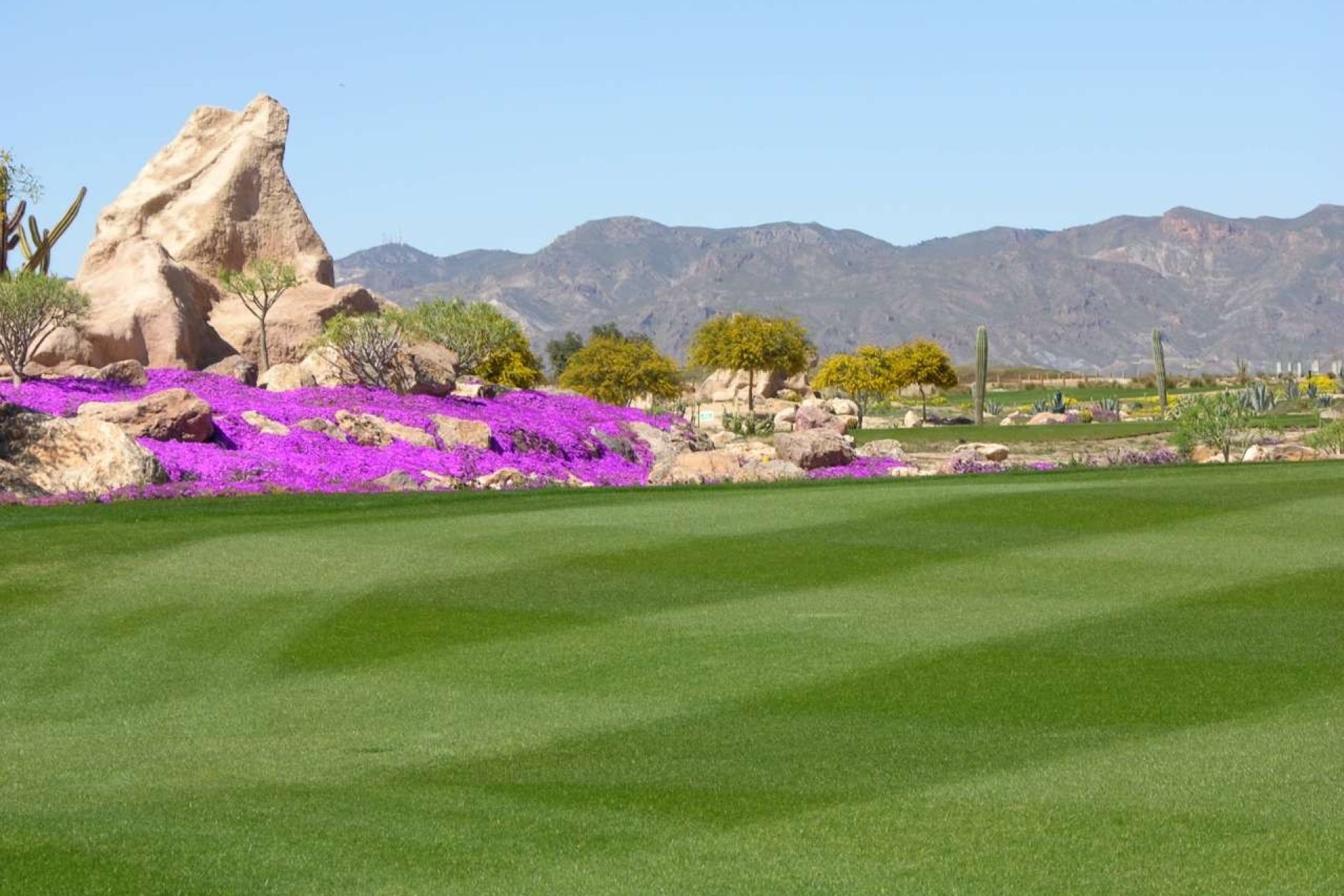 Nouvelle construction - Villa - Cuevas del Almanzora - Villaricos