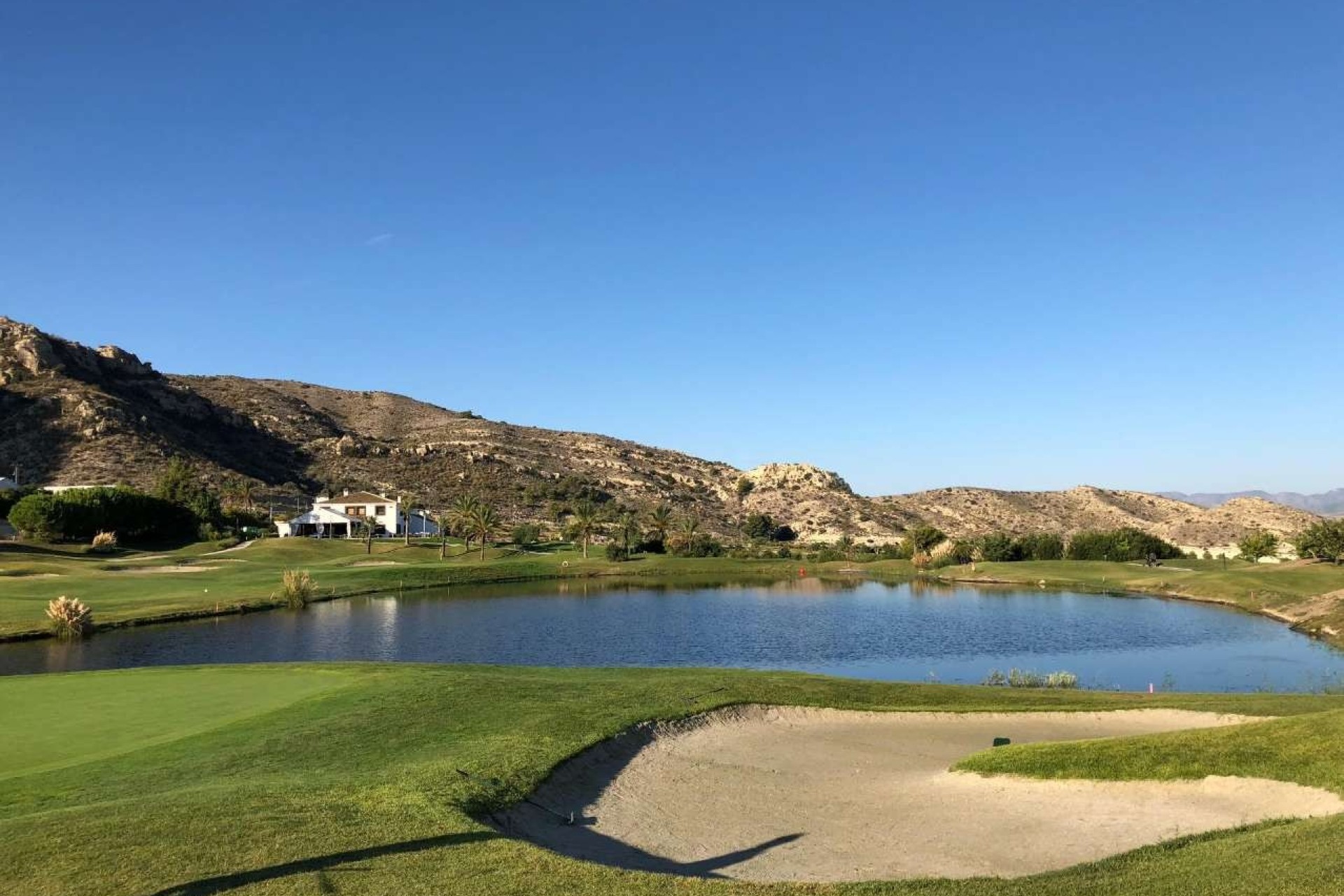 Nybyggnation - Villa / parhus - Monforte del Cid - Font del Llop