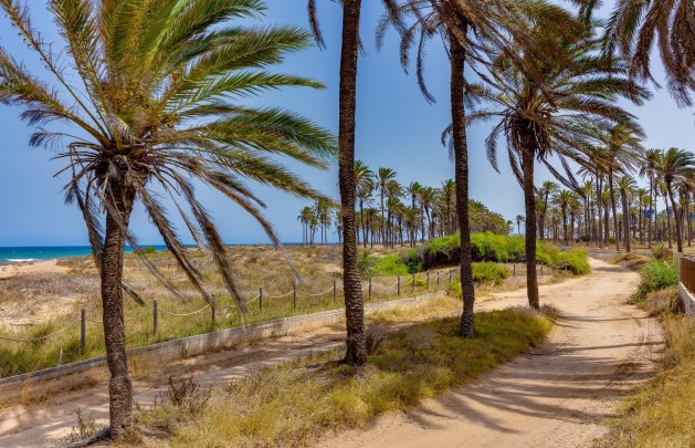 Återförsäljning - Bungalow - Torrevieja - Mar azul