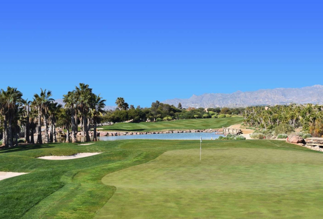 Nybyggnation - Villa - Cuevas del Almanzora - Villaricos