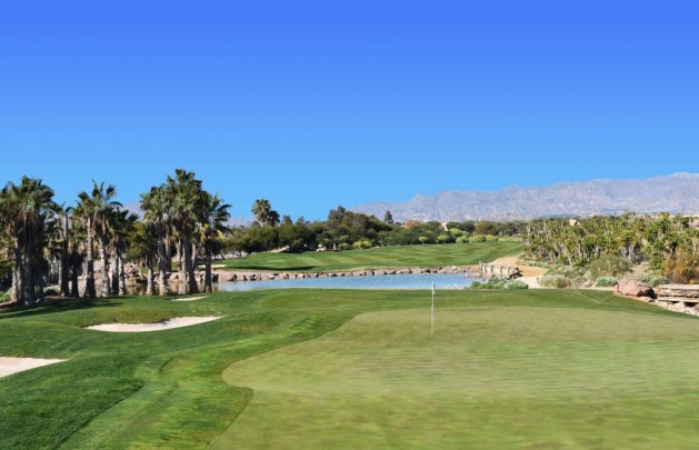 Nybyggnation - Villa - Cuevas del Almanzora - Villaricos