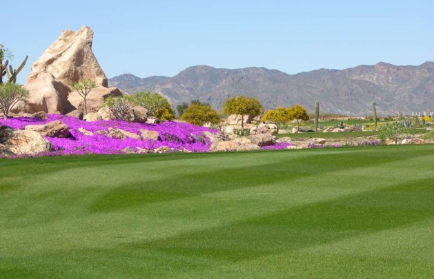 Nybyggnation - Villa - Cuevas del Almanzora - Villaricos