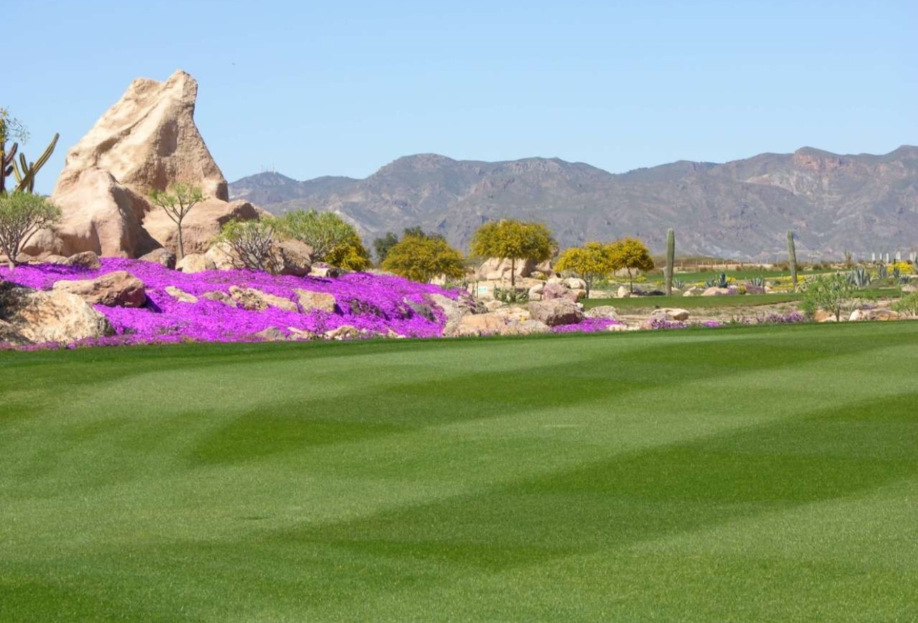 Återförsäljning - Lägenhet / lägenhet - Cuevas del Almanzora - Villaricos