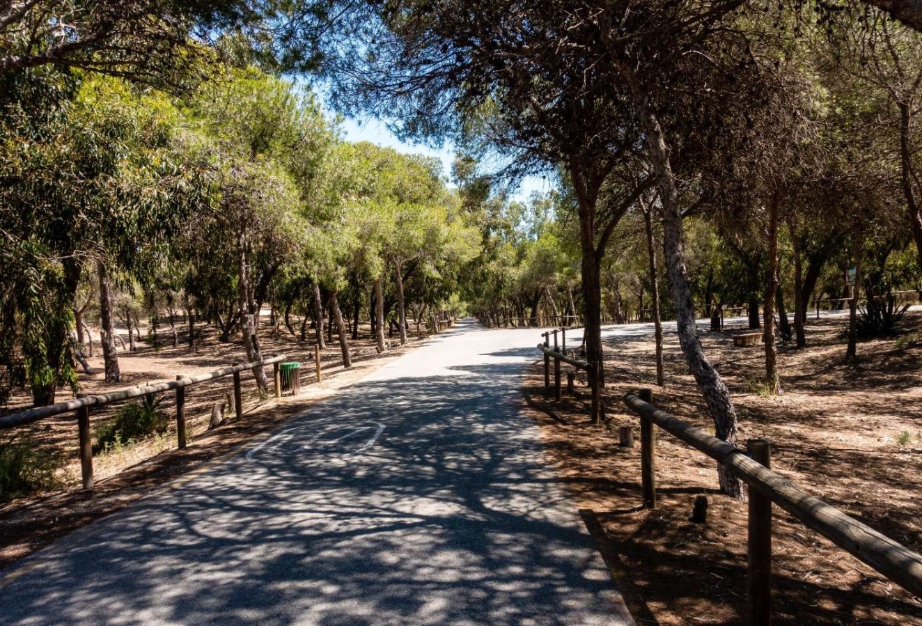 New Build - Apartment / flat - Guardamar del Segura