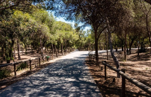 New Build - Apartment / flat - Guardamar del Segura