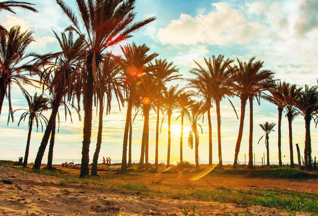 Återförsäljning - Lägenhet / lägenhet - Torrevieja - Acequion