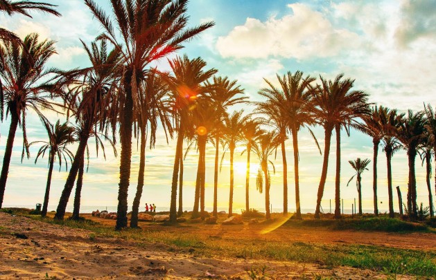 Återförsäljning - Lägenhet / lägenhet - Torrevieja - Acequion