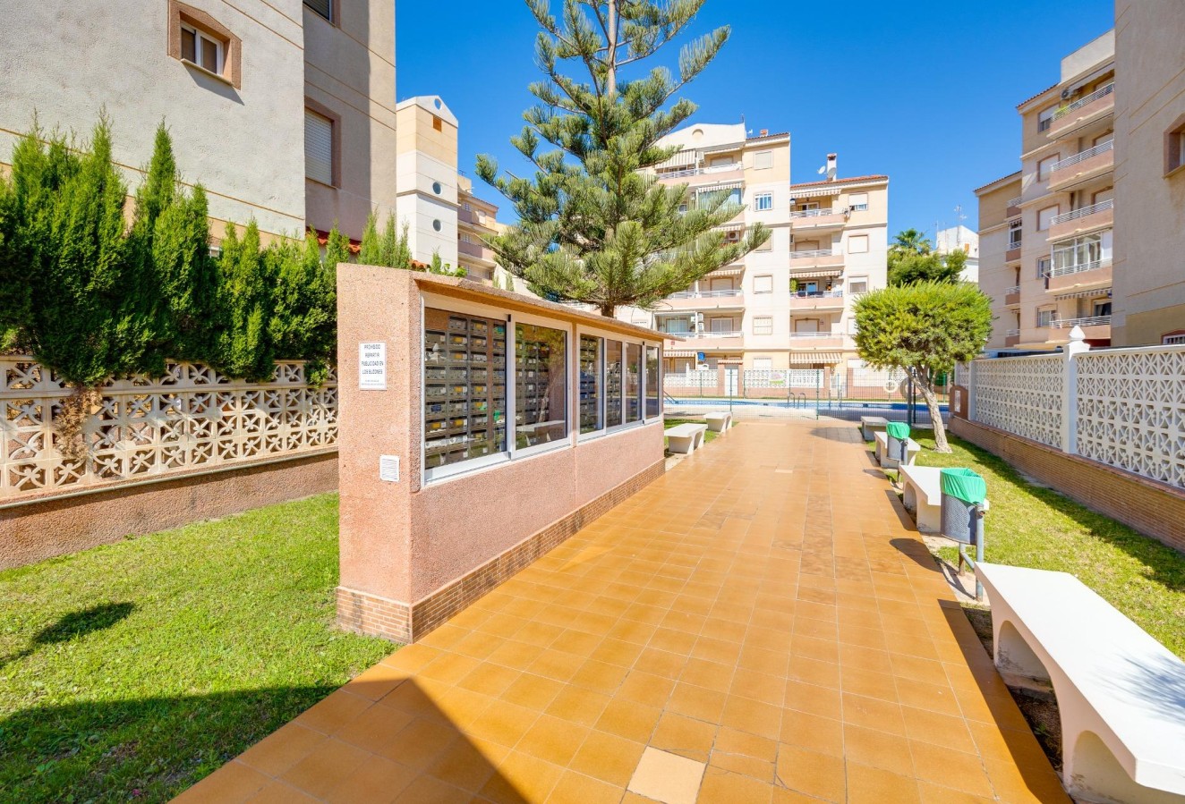Återförsäljning - Lägenhet / lägenhet - Torrevieja - Calas blanca