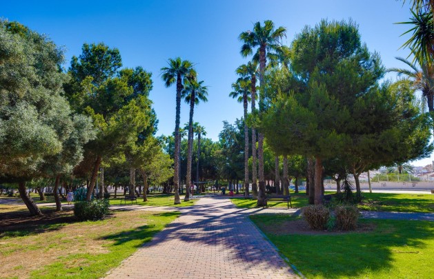 Återförsäljning - Lägenhet / lägenhet - Torrevieja - Calas blanca