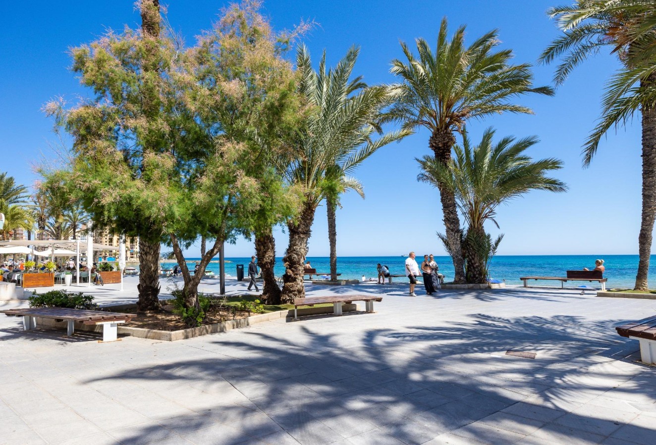 Återförsäljning - Takvåning - Torrevieja - Habaneras