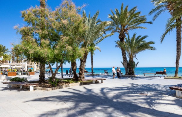 Återförsäljning - Takvåning - Torrevieja - Habaneras