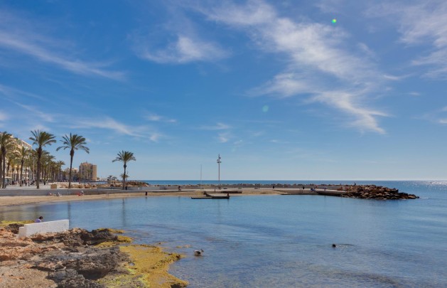 Återförsäljning - Lägenhet / lägenhet - Torrevieja - Habaneras