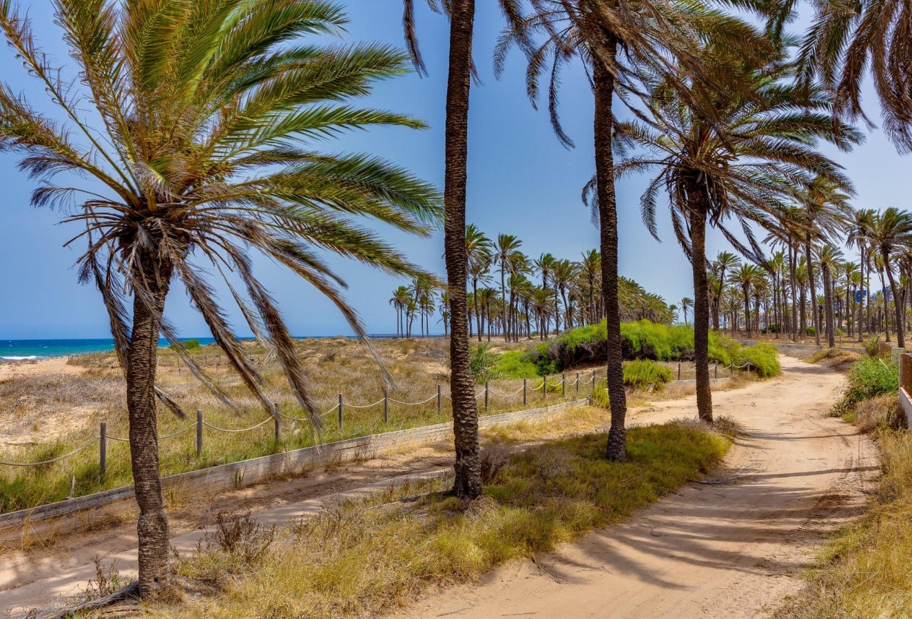 Återförsäljning - Bungalow - Torrevieja - Mar azul