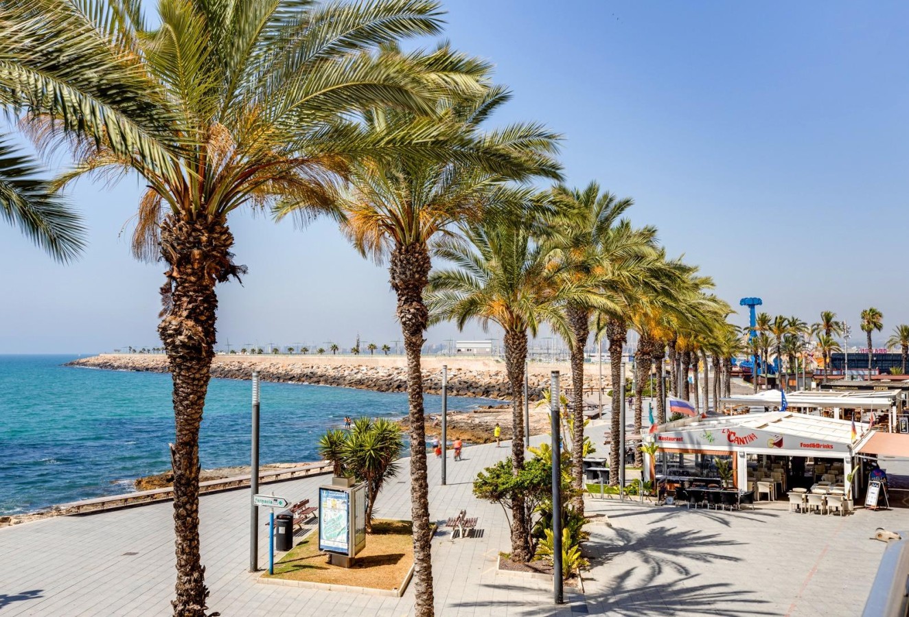 Återförsäljning - Lägenhet / lägenhet - Torrevieja - Habaneras