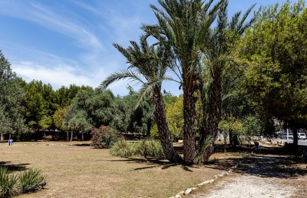 Återförsäljning - Lägenhet / lägenhet - Torrevieja - Acequion