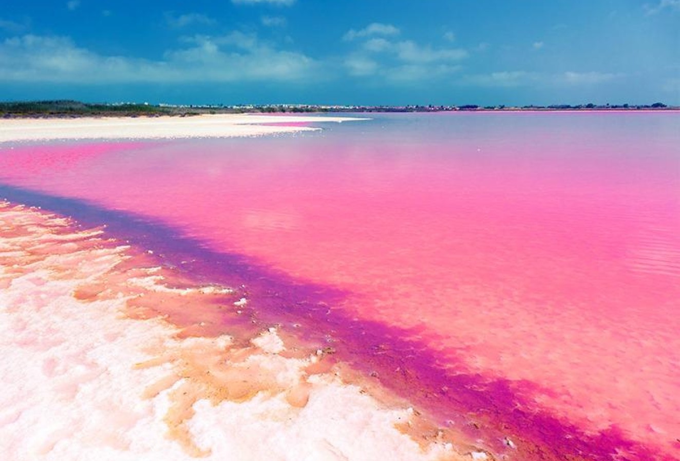 Nybyggnation - Lägenhet / lägenhet - Torrevieja - Aguas Nuevas