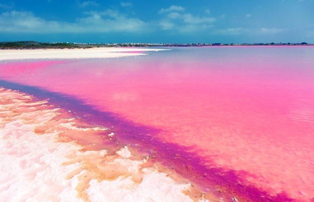 Nybyggnation - Lägenhet / lägenhet - Torrevieja - Aguas Nuevas